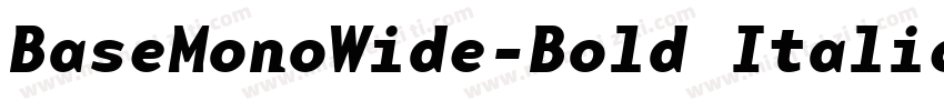 BaseMonoWide-Bold Italic字体转换